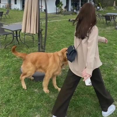 牧场住宅指南